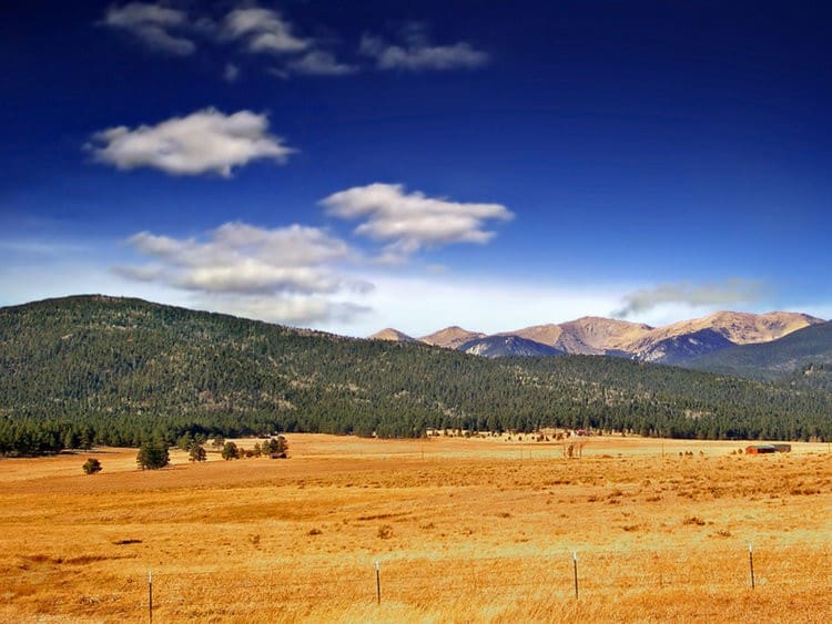 New Mexico Views