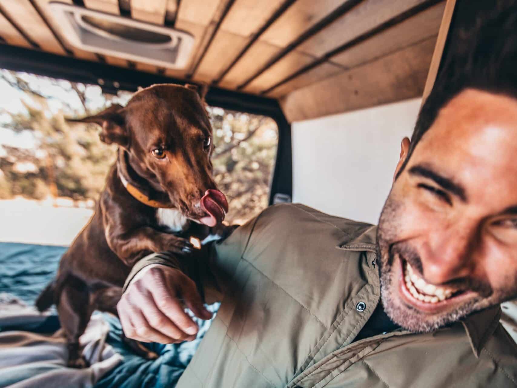 Campervans with Dogs