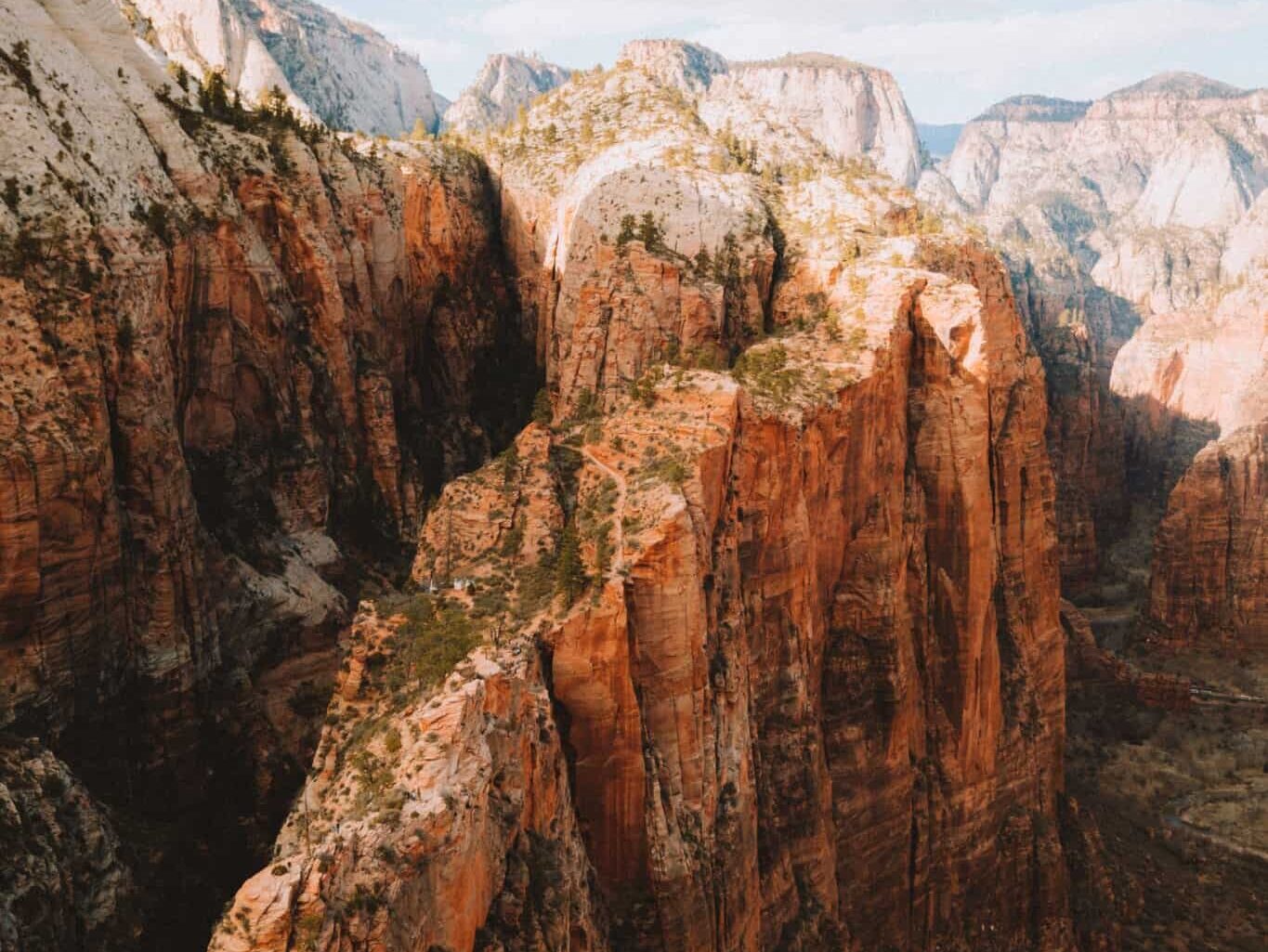 Zion NP