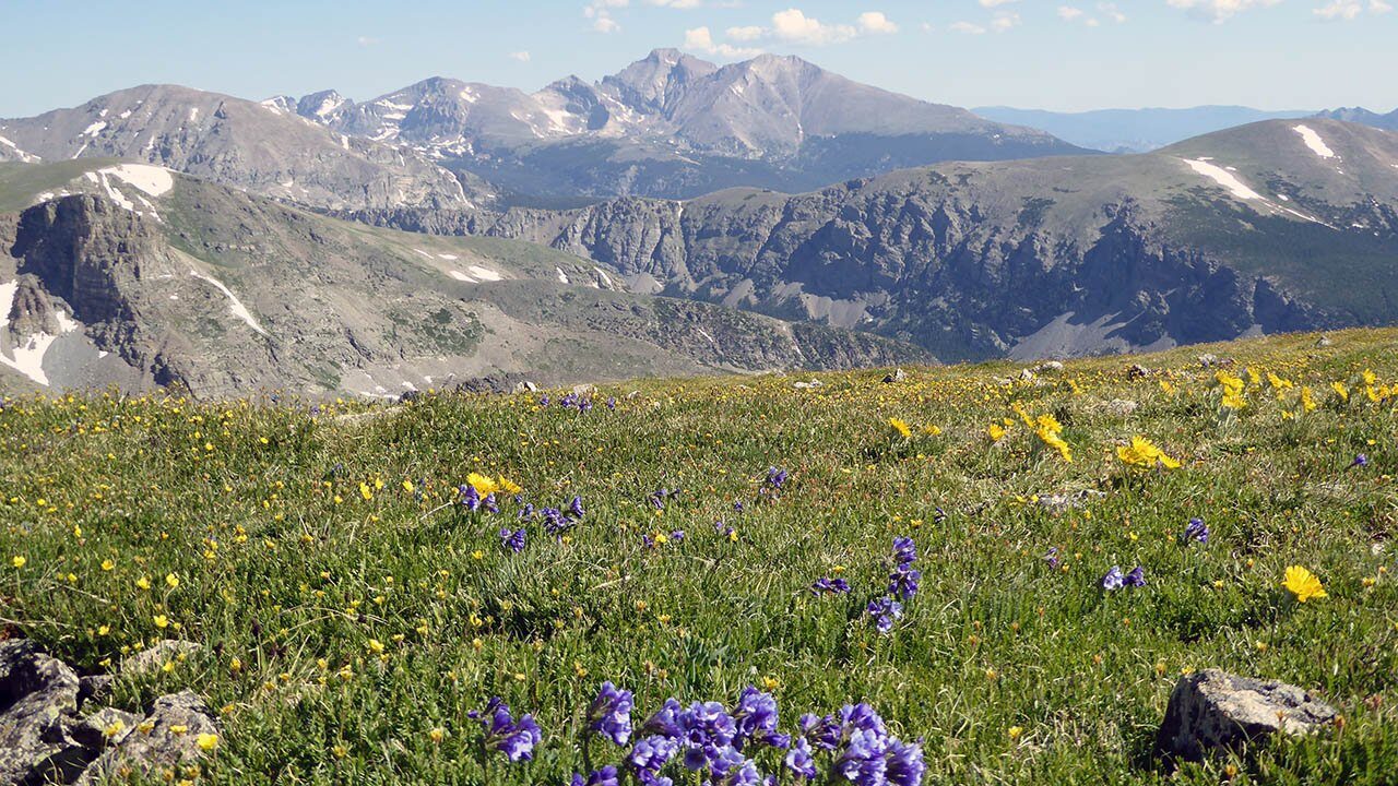 Mount Audubon